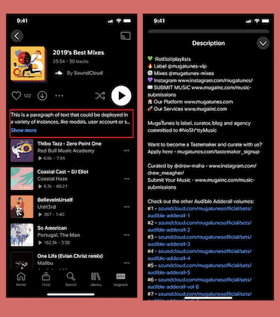 Playlist/album descriptions